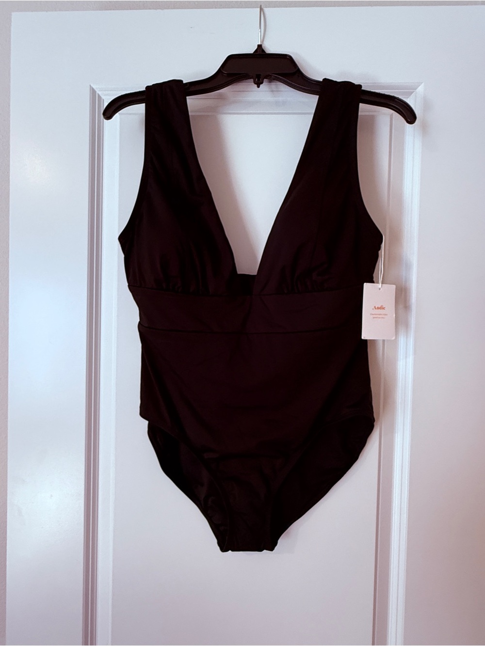Andie Black V-Neck One-Piece Swimsuit